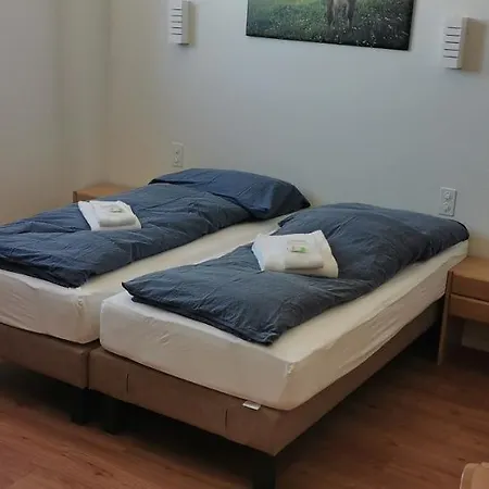 Alpenlodge Kühboden * Fiesch